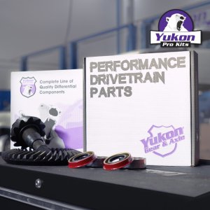 Ford F-150 Differential Install Kit - Rear - Yukon Gear & Axle - 8.8